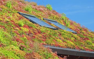Pabail Uarach living roof systems