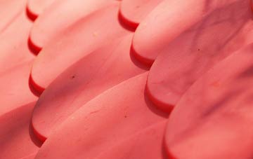 Pabail Uarach plastic roof costs