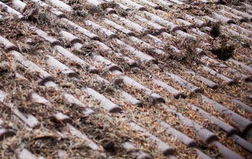 Pabail Uarach roof cleaning companies