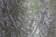 Pabail Uarach fibreglass roof work